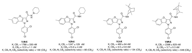 Structure of representative benzofuro(3,2-c)pyrazol-based derivatives (V). Affinities at CB1 and CB2 receptors were assessed by competition of (3H)-CP 55,940 in mouse cerebellum membranes and in mouse spleen homogenates, respectively [38].