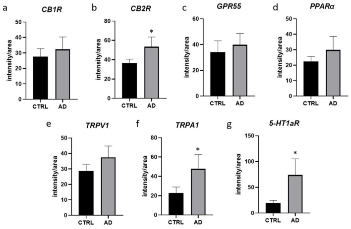 Quantification of the intensity of the expression of CB1R (a), CB2R (b), GPR55 (c), PPARα (d), TRPV1 (e), TRPA1 (f), 5-HT1aR (g), in the suprabasal layers of 7 CTRL- and 8 AD-dogs. Data are represented as Mean ± SD and were analyzed using the Student T-test. P < 0.0071 (*).