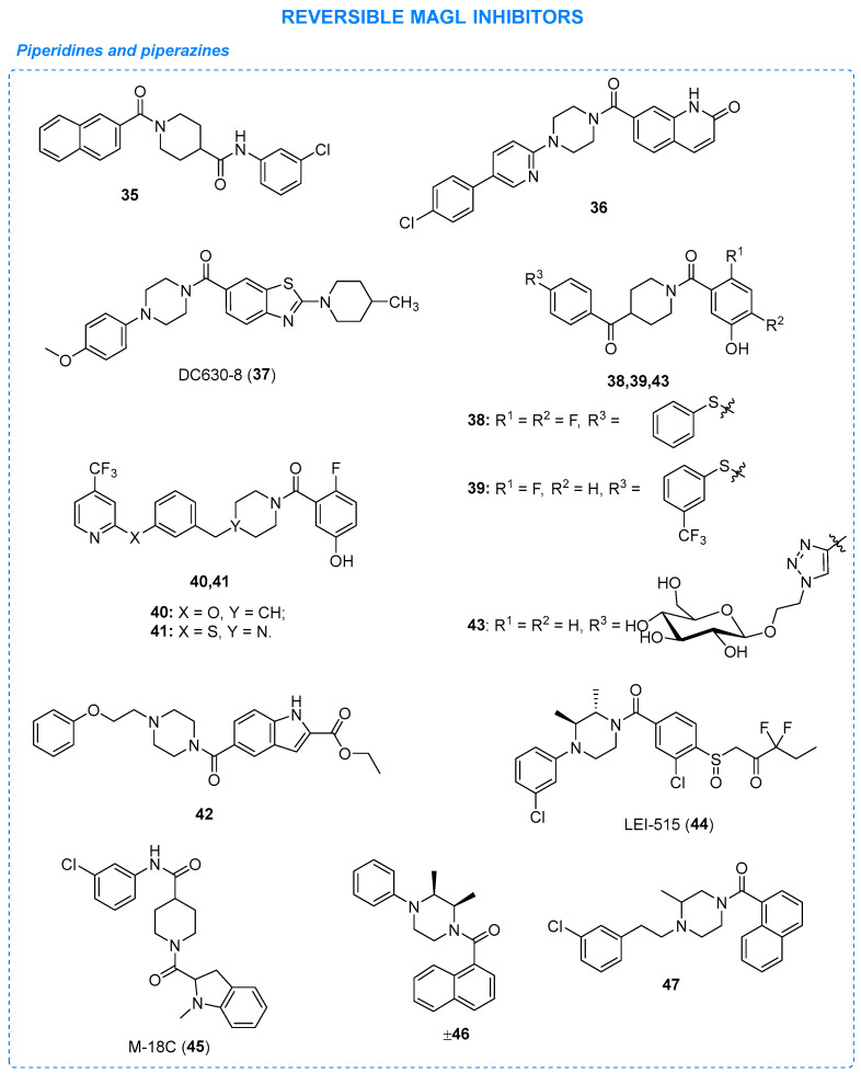 Synthetic reversible MAGL inhibitors, part 2.
