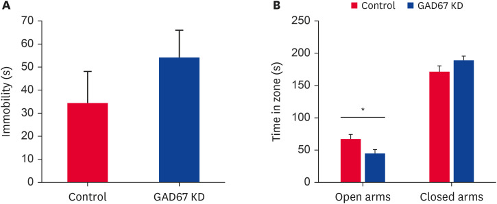 Effects of GAD67 knockdown on the FST and EPM test. (A) The immobility of the control vector group during the FST was measured for 5 min. Data are expressed as the mean ± standard error (n = 9 for control group and 12 for GAD67 KD group, respectively) and were analyzed using a Student’s t-test. (B) The time in each zone was measured in EPM for 4 min. Data are expressed as the mean ± standard error (n = 9 for control group and 12 for GAD67 KD group, respectively) and were analyzed using a Student’s t-test (*p < 0.05 vs. control).GAD67, glutamic acid decarboxylase 67; FST, forced swim test; EPM, elevated plus maze.