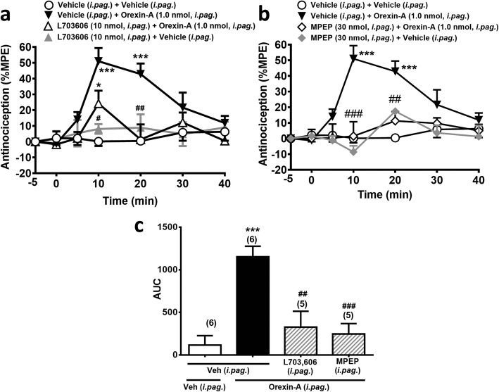 Orexin-A (i.pag.)-induced antinociception is antagonized by i.pag. blockade of NK1Rs or mGlu5Rs. a-b: Time courses of antinociceptive effects (expressed as % MPE) induced by orexin-A (1.0 nmol, i.pag.) in combination with the vehicle or the antagonist of NK1Rs (L-703,606, 10 nmol, i.pag., a or mGlu5Rs (MPEP, 30 nmol, i.pag., b in the mouse hot-plate test. (two-way ANOVA /post hoc Bonferroni test). c: The AUC of the antinociceptive effect in each treatment group (one-way ANOVA /post hoc Tukey test). The antagonist was i.pag. co-administered with i.pag. orexin-A. The data presentation and statistics are the same as in Fig. 2. *p < 0.05, **p < 0.01, ***p < 0.001 vs. the vehicle control group; #p < 0.05, ##p < 0.01, ###p < 0.001 vs. the orexin-A group