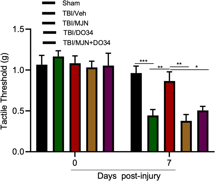 The 2-AG synthetic enzyme DAGL inhibitor DO34 blocked MJN110 mediated anti-allodynic effect in the mTBI mice. On day 7 post-TBI, MJN treatment had a significantly reduced periorbital cutaneous hypersensitivity compared to the TBI/vehicle group. DO34 treated mTBI mice behaved similar to the TBI/vehicle group. Administration of DO34 together with MJN showed similar periorbital allodynia to the TBI/vehicle group, and it significantly reversed the antinociceptive effect of the treatment of MJN alone. *, p < 0.05, **, p < 0.01, and ***, p < 0.001 (n = 10/group)