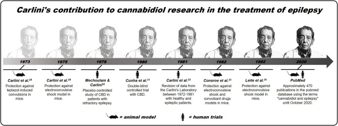 Brief history of Carlini's contribution to cannabidiol research in the treatment of epilepsy.
