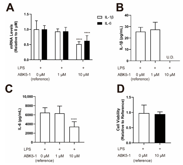 Effect of ABK5-1 on lipopolysaccharide (LPS)-induced cytokine production in microglia. BV-2 cells were pretreated with DMSO (<0.1%) or 1 or 10 μM ABK5-1 and stimulated with LPS. (A) mRNA levels of IL-1β and IL-6 after 6 h of LPS stimulation. (B) IL-1β protein concentration in the cell culture medium after 24 h of LPS stimulation. U.D. indicates under detection limit. (C) IL-6 protein concentration in the cell culture medium after 24 h of LPS stimulation. (D) Viability of BV-2 cells after ABK5-1 10 μM treatment. Results are indicated as the mean ± S.D. of three independent assays performed for each concentration. One-way ANOVA plus Dunnett’s post-hoc test were used and **** p < 0.0001 (versus reference).