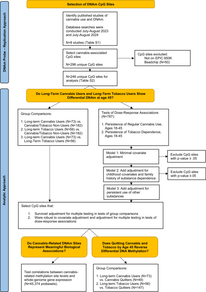 Flowchart documenting approach to CpG site selection and data analysis.