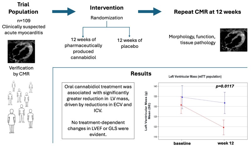 Impact of cannabidiol on acute myocarditis.