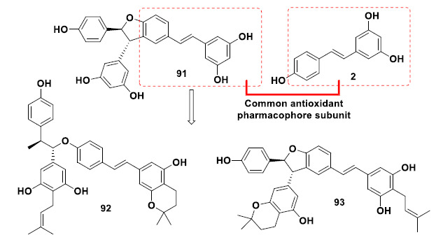 Molecular optimization of the resveratrol (2)-parent viniferin (91) to generate the optimized antioxidant and neuroprotective derivatives 92 and 93.