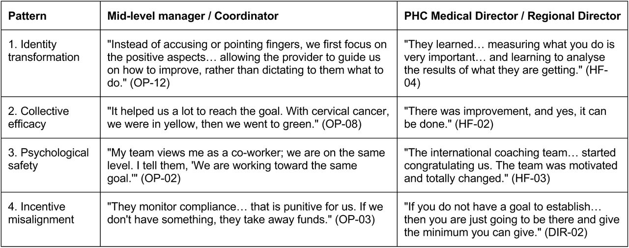 Illustrative quotes by causal-link pattern and respondent type