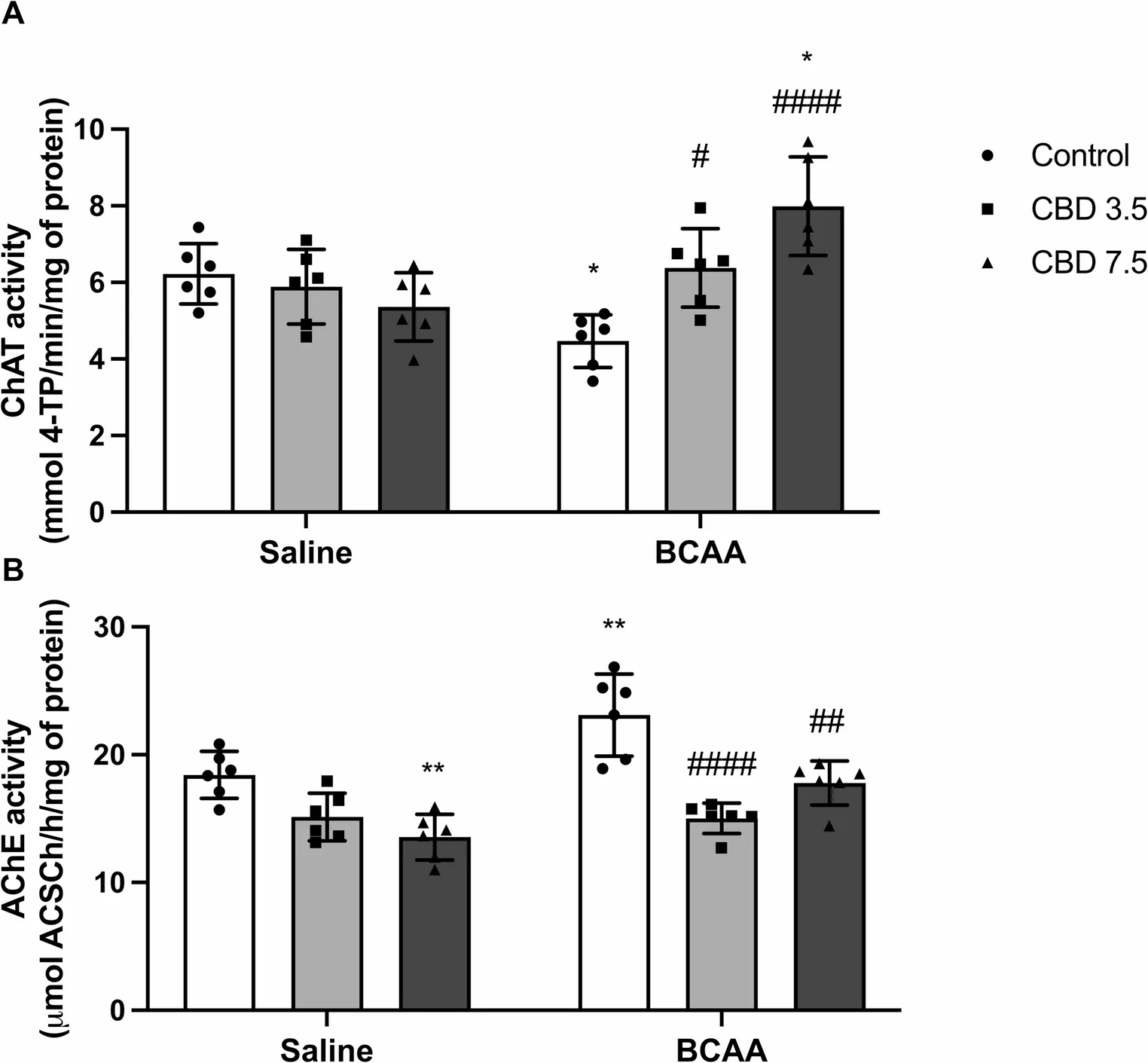 Effects of BCAA administration and CBD treatment on the cholinergic system in rat cortex. (A) Choline acetyltransferase (ChAT) activity. (B) Acetylcholinesterase (AChE) activity. Experimental groups included saline control, saline CBD 3.5 mg/kg, saline CBD 7.5 mg/kg, BCAA control, BCAA + CBD 3.5 mg/kg, and BCAA + CBD 7.5 mg/kg. Data are presented as mean ± standard deviation (SD), with n = 6 animals per group. Statistical analysis was performed using ordinary two-way ANOVA followed by Tukey’s multiple-comparisons test, p < 0.05, *p < 0.01, **p < 0.001, ***p < 0.0001 vs. saline control group; #p < 0.05, ##p < 0.01, ###p < 0.001, ####p < 0.0001 vs. BCAA control group