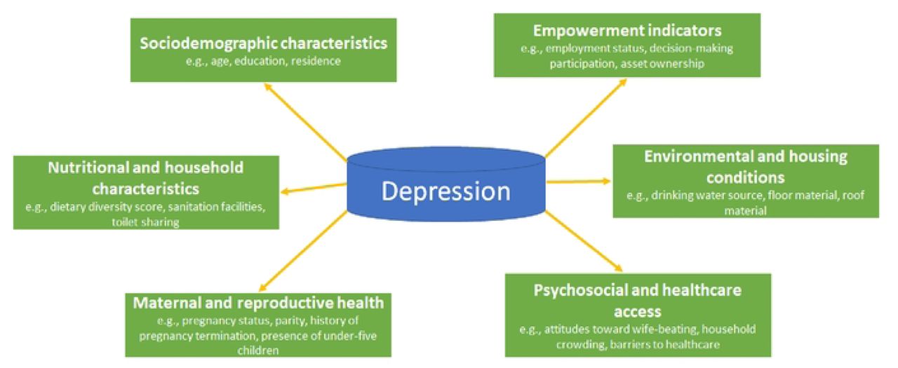 The features related to Depressive symptoms identified from BDHS data were grouped into categories