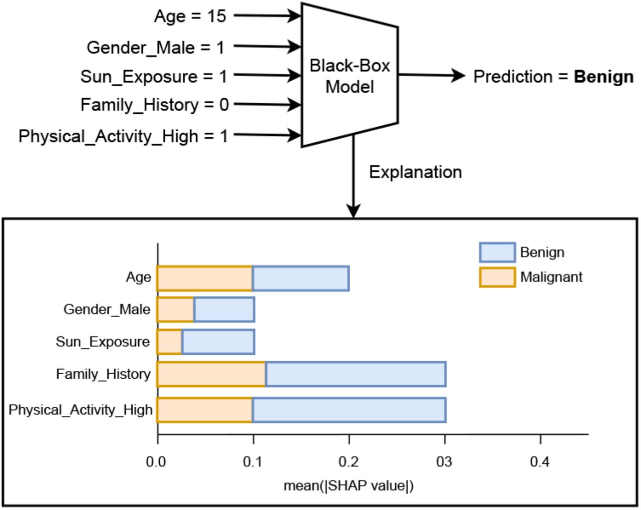 Given input of five factors including Age, Gender_Male, Sun_Exposure, Family_History, and Physical_Activity_High for Benign vs. Malignant Skin Cancer. Explanation shown using mean SHAP values for the given Benign prediction. Adapted from [21]. This image is licensed under CC BY 4.0.
