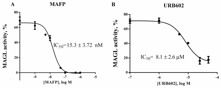 Inhibition of human recombinant MAGL with known inhibitors: methyl arachidonyl fluorophosphonate (A), URB602 (B). The assay was carried out as described in Experimental procedures section. Data derived from two independent experiments performed in triplicate and calculated as non-linear regressions using sigmoid dose-response setting with variable Hill slope by GraphPad Prism 6.0c. In panel B 100% inhibition is not achieved due to the low solubility of URB 602 in assay conditions.