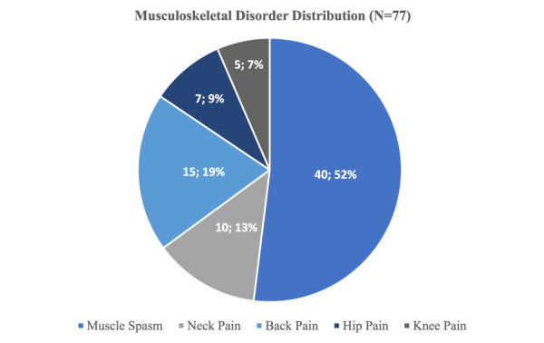 Pie chart demonstrating the distribution of conditions on the musculoskeletal disorders subset.