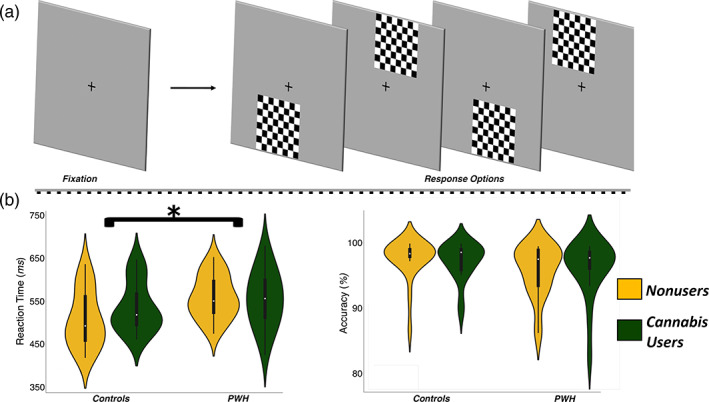Experimental paradigm and behavioral results. (a) An illustration of the visuospatial task paradigm. Each trial was comprised of a fixation period lasting 2,000 ms (variable interstimulus interval: 1,900–2,100 ms) and a stimulus‐presentation period lasting 800 ms, which consisted of the appearance of a checkered grid in one of four locations. (b) Behavioral results from the visuospatial task; reaction time (in ms) is displayed on the y‐axis of the graph on the left, and accuracy (in % correct) is displayed on the y‐axis of the graph to the right. The color legend is shown to the far right (*p < .01)