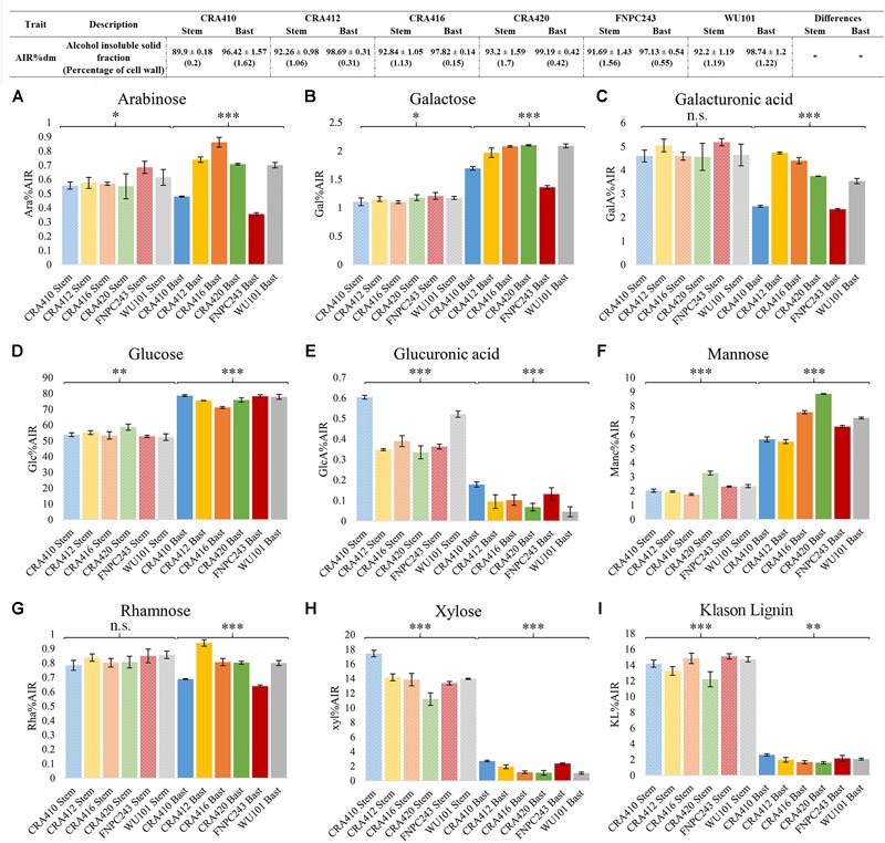 Cell wall composition of the bast fiber and the entire stem of six hemp contrasting accessions. Table: The values correspond to the mean ± standard deviation. Percentages of coefficient of variation (CV%) between technical replicates are shown between brackets. Figure: The columns represent the means and the bar of each column represents the standard deviation. The contents of the nine cell wall components [arabinose (A), galactose (B), galacturonic acid (C), glucose (D), glucuronic acid (E), mannose (F), rhamnose (G), xylose (H), and Klason lignin (I)] were significantly different (p < 0.001) between the bast and the stem. ∗p < 0.1, ∗∗p < 0.01, ∗∗∗p < 0.001, and n.s., no-significant.