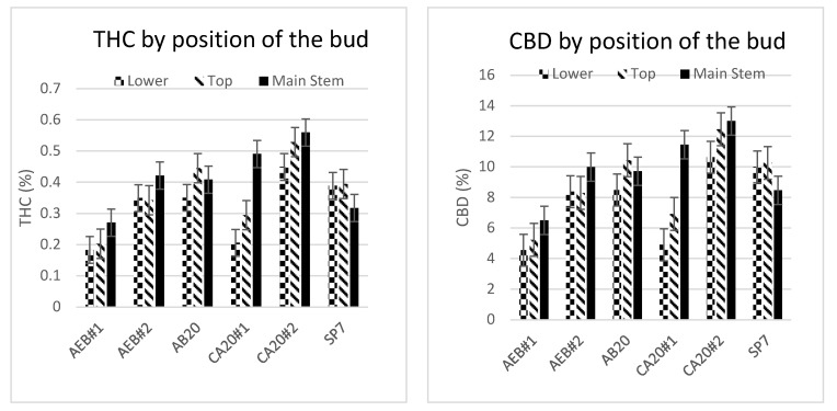 THC and CBD in buds taken from six different plants from differing positions on the plant. While no difference was found between buds taken from the main stem or top and lower tiers of the plants, the test is inconclusive.