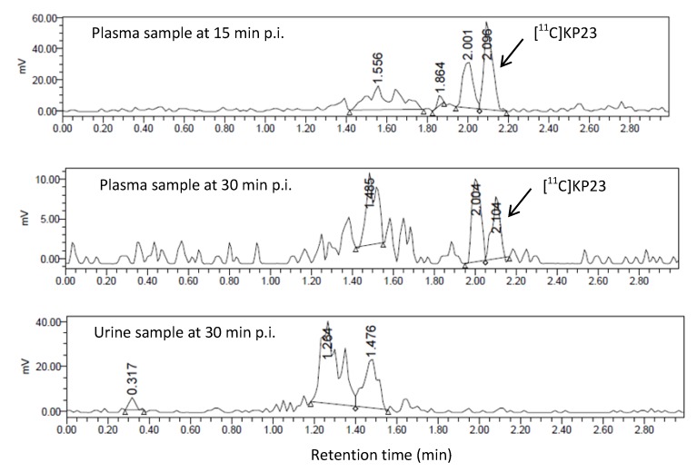 Radio-UPLC profiles of [11C]KP23 metabolites in blood plasma samples obtained at 15 min and 30 min p.i. and in the urine sample obtained at 30 min p.i.