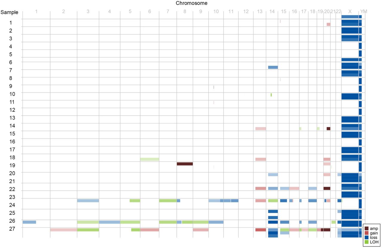 Copy number calls across cohort – ID on Y-axis; Chromsome on X-axis; Amplification in dark red; Gain in light red; Loss in bolue; LoH in green.