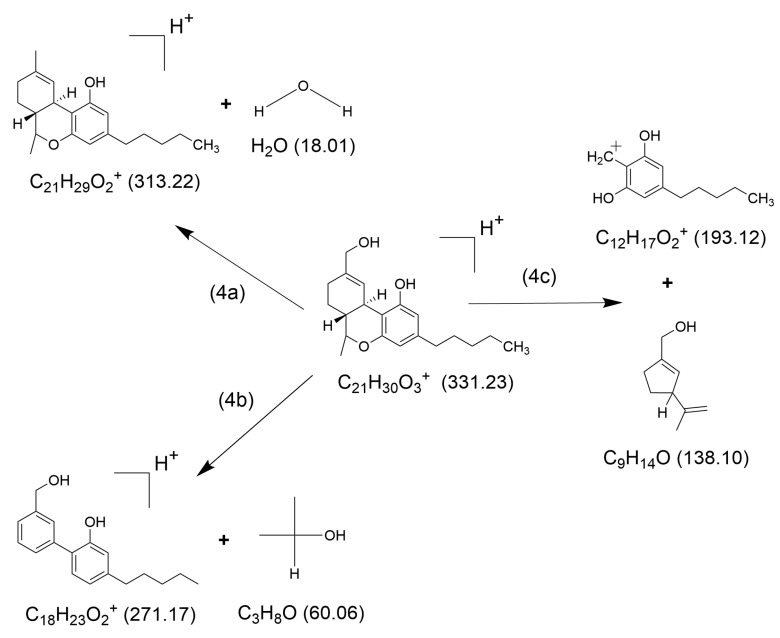 Suggested structures of the major ionic fragments and the neutral counter-fragments (4a)–(4c) observed in HCD fragmentation of [THCOH + H]+. Exact masses are given in parentheses.
