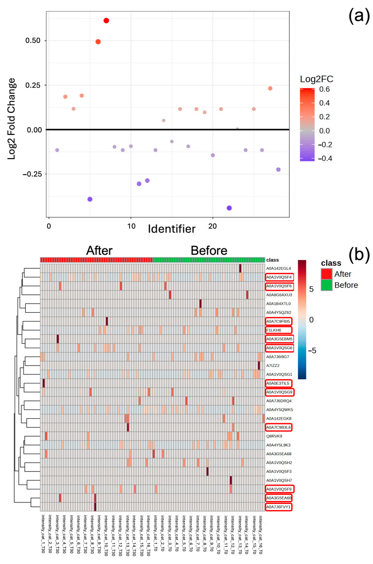 Proteins with a Log2 Fold Change (FC) greater than 1.0 are considered upregulated (red dots) while those with a Log2 FC less than −1.0 are downregulated (blue dots). The analysis revealed 12 upregulated and 15 downregulated proteins at FC 1.0 (a). Heatmap illustrating the expression levels of proteins before and after treatment. Red indicates upregulation while blue indicates downregulation. Twelve proteins (indicated by red circles) showed significant upregulation following treatment (b).