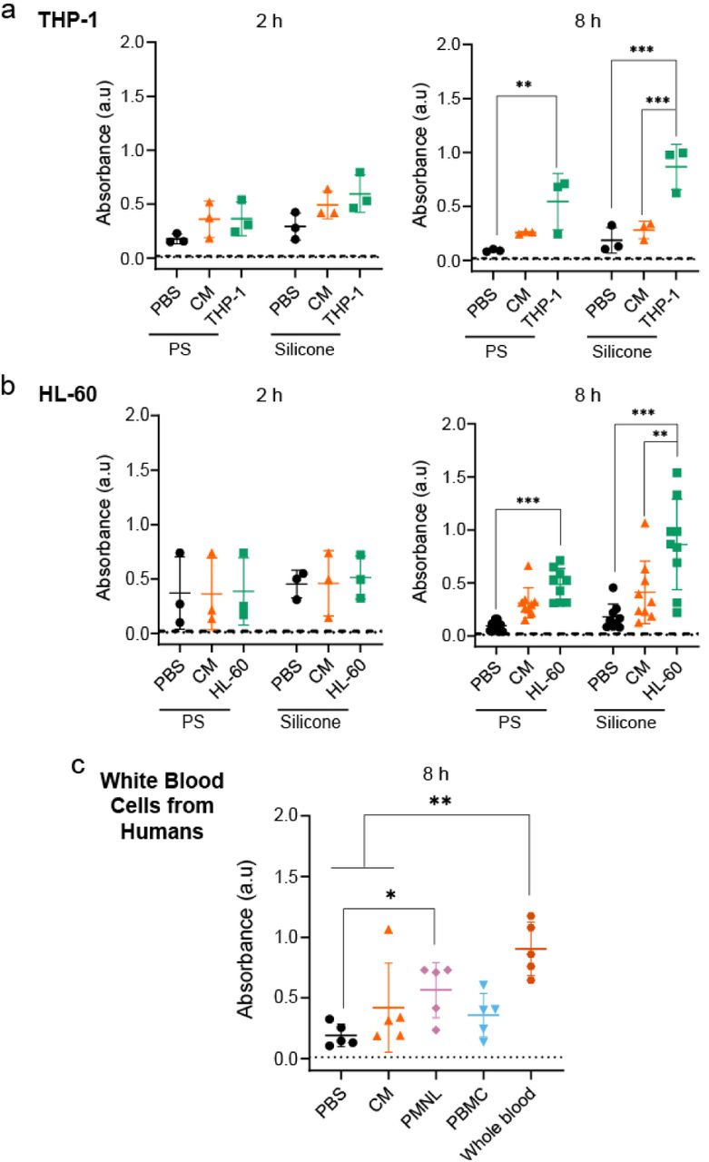 Immune cell-biomaterial interaction involving THP-1, HL-60 cell lines and peripheral venous white blood cells from humans also demonstrate increased bacterial biofilm formation.(a) Biofilms were quantified using a crystal violet assay on tubes of polystyrene (PS) or polystyrene coated with silicone (Silicone) exposed to either phosphate buffered saline (PBS), complete media (CM) or THP-1 cells in complete media for 2 and 8 hours, followed by E. coli incubation for 48 hours.(b) and (c) similar experimental setup as ‘a’, with the cells changes to HL-60 (b) or various cells present in human blood (c), where PMNLs refers to polymorphonuclear leukocytes (PMNLs) and PBMCs refers to peripheral blood mononuclear cells (PBMCs). In (c) polystyrene coated with silicone was used.One-way ANOVA followed by Tukey’s multiple comparisons test was used for statistical comparison. Dotted line/dashed line in the graphs indicate crystal violet absorbance of bare polystyrene/silicone tube (background absorbance). *p<0.05, **p<0.01, ***p<0.001.