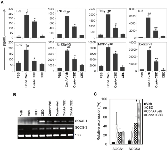 Analysis of inflammatory cytokines, SOCS1 and SOCS3.A) CBD acts by suppressing pro-inflammatory cytokines in ConA-induced hepatitis. WT mice (n = 6) were injected with PBS or ConA. ConA injected mice were administered with vehicle or CBD (25 mg/kg bd.wt.). CBD group received CBD alone at 25 mg/kg bd.wt. Blood was collected after 12 h and serum cytokines were determined by Bioplex assay. Error bars represent mean ± SEM (n = 6). The data were analyzed by Student's t-test (##p<0.01 compared to PBS; *p<0.05, **p<0.01 compared to ConA+Veh). B) Semi-quantitative RT-PCR for SOCS-1 and SOCS-3 in livers 2 h after various treatments in vivo. 18S was used as a loading control. C. The densities of bands were quantified using gel imaging system (BioRad) and expressed as percentage expression relative to 18S. Student's t-test, *p<0.05 compared to ConA.