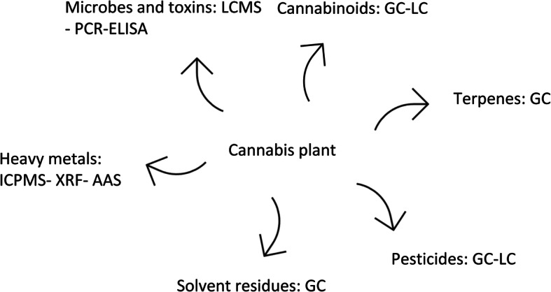 Cannabis compounds and impurities can be detected by various methods. Some methods are suggested in this figure for specific purposes. ICPMS: Inductively coupled plasma mass spectrometry, XRF: X-ray fluorescence, AAS: Atomic absorption spectroscopy, PCR: Polymerase chain reaction, ELISA: enzyme-linked immunosorbent assay, GC: gas chromatography, LC: Liquid chromatography