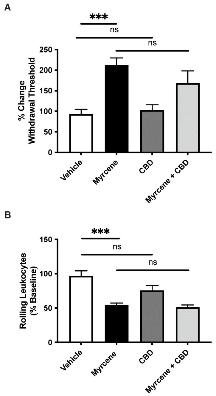 The effect of co-administration of low-dose cannabidiol (CBD) and myrcene on joint pain and inflammation. While low-dose myrcene reduced hindlimb pain (A) and leukocyte rolling (B), the addition of cannabidiol (CBD) had no additional effect on these analgesic or anti-inflammatory responses. ns—not significant, *** p < 0.001, one-factor RMANOVA with Bonferroni’s post hoc test. Data are means ± S.E.M.