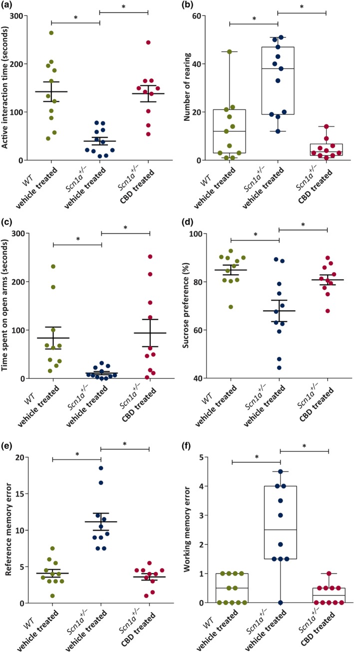 Dot plot or box and whisker plots showing the effect of chronic administration of CBD to Scn1a +/− mice on active social interaction, rearing, anxiety‐like and depression‐like behaviours, and cognition. (a) Mean time (seconds) spent on active interaction in social interaction (SI) test by the wild‐type (WT) vehicle‐treated (n = 11), Scn1a +/− vehicle‐treated (n = 11), and Scn1a +/− CBD‐treated (n = 10) groups. CBD significantly increased the active interaction time compared to the Scn1a +/− vehicle‐treated group. (b) Median number of rearing made in social interaction test. CBD treatment significantly reduced the number of rearing compared to the Scn1a +/− vehicle‐treated group. (c) Mean time (second) spent on open arms in elevated plus maze (EPM) test. CBD treatment significantly increased the time spent on the open arms of EPM compared to the Scn1a +/− vehicle‐treated group. (d) Mean sucrose preference (%) in sucrose preference test. CBD significantly increased the sucrose preference compared to the Scn1a +/− vehicle‐treated group. (e) Mean reference memory errors (RMEs) in WT vehicle‐treated (n = 11), Scn1a +/− vehicle‐treated (n = 10) and Scn1a +/− CBD‐treated (n = 10) groups in radial arm maze (RAM) test. CBD significantly improved RME compared to the Scn1a +/− vehicle‐treated group. (f) Median working memory errors (WMEs). CBD treatment significantly improved working memory errors compared to the Scn1a +/− vehicle‐treated group. All the data are expressed as mean ± SEM except rearing and working memory errors which are expressed as median, min to max and interquartile range (IQR); all data except rearing and working memory errors were analysed by one‐way ANOVA with Holm–Sidak's post hoc test; rearing and working memory errors data obtained from social interaction test and radial arm test respectively were analysed by Kruskal–Wallis post hoc test followed by Dunn's multiple comparison test; *P < .05