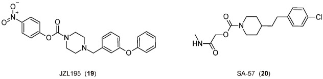 The 2D structures of the selected FAAH/MGL inhibitors.