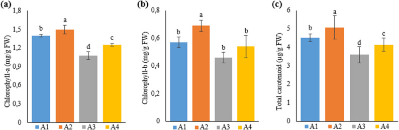 Graph showing the chlorophyll-a (a), chlorophyll-b (b) and total carotenoid (c) content of cannabis plants which is A1: 1/2 Hoagland + 150:30:150 N: P:K, A2: 1/2 Hoagland + 150:30:150 N: P:K + 10 mg/L Si, A3: 1/2 Hoagland + 150:30:150 N: P:K + 1 mg/L IBA, A4: Soil media (peat: soil: perlite / 1:1:1). Columns shown that mean comparsions were conducted using Duncan’s multiple range test wtih the bars stand for standard deviation (SD). According to the analysis of variance, different letters indicate statistically significant differences at p ≤ 0.05