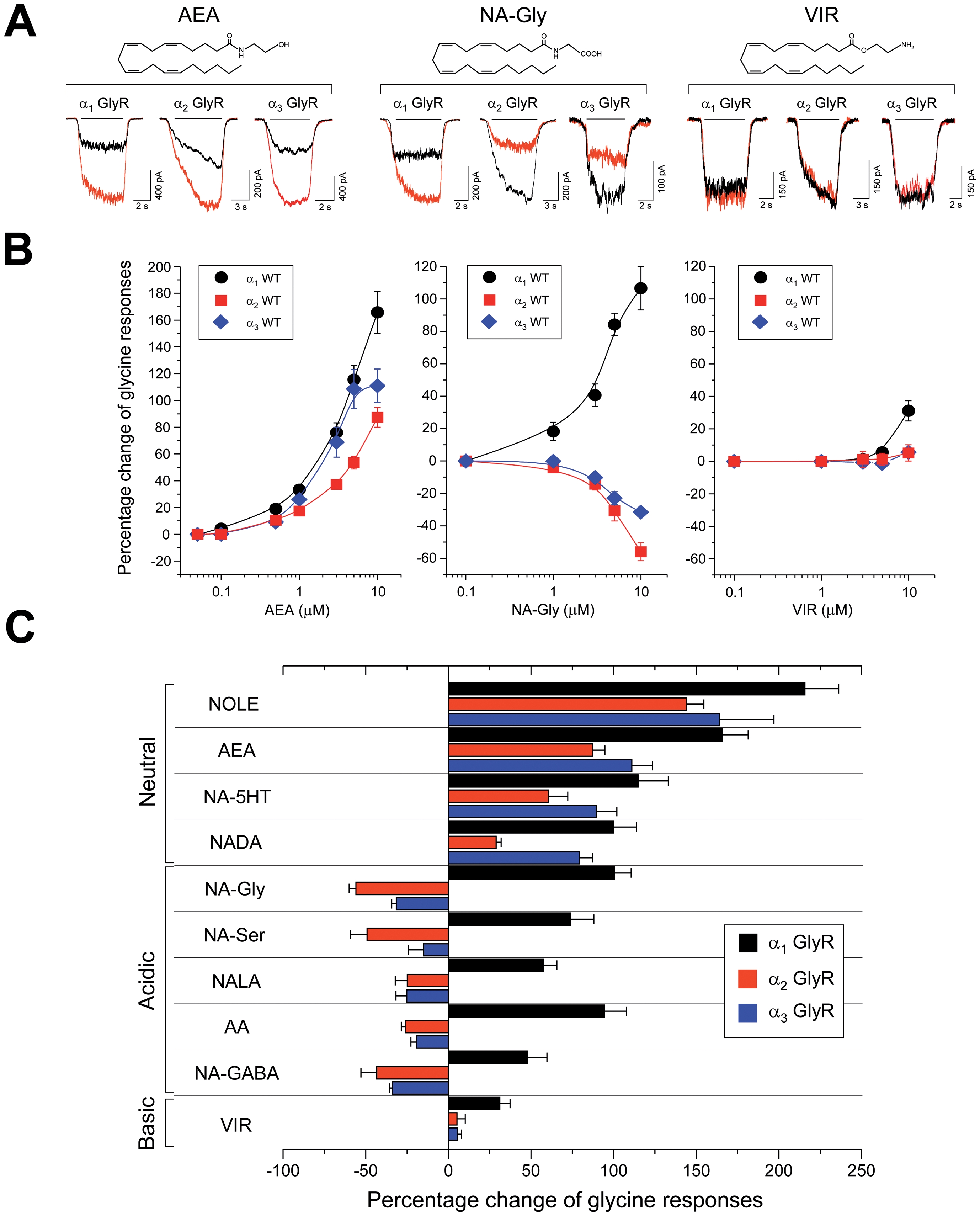 Modulation of different GlyR subtypes by ECs.(A) Glycine-activated membrane currents through wild-type α1, α2 and α3 GlyRs under control conditions (black) and in the presence of AEA, NA-Gly and VIR (red; all 10 µM). Membrane currents were activated by equipotent (EC10) glycine concentrations for each particular subunit. Chemical structures for the ligands are also shown. (B) Concentration-response curves. (C) Summary of the EC-mediated allosteric modulation of GlyRs subunits obtained at 10 µM concentration. Note that all acidic ECs tested still potentiated the α1 GlyR currents, but inhibited currents through α2 - α3 GlyRs. NOLE, noladin ether; AEA, anandamide; NA-5HT, arachidonyl serotonin; NADA, N-arachidonyl dopamine, NA-Gly; N-arachidonyl glycine; NA-GABA, N-arachidonyl-GABA; NA-Ser, N-arachidonoyl-L-serine; NALA, N-arachidonoyl-L-alanine; AA, arachidonic acid; VIR, virodhamine. Data are means ± SEM from 6-15 cells.