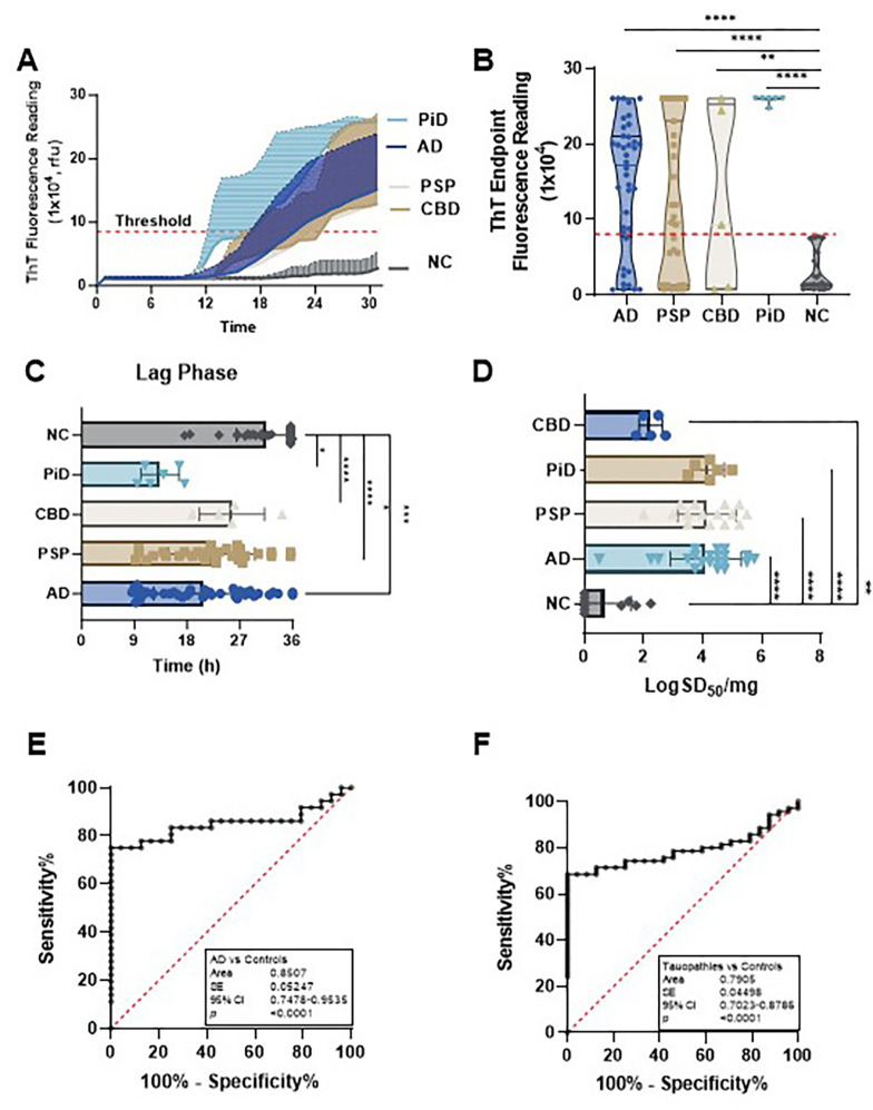 Tau-seeding activity of skin samples from patients with tauopathies using 3RCF-based RT-QuIC assay.(A) Kinetic curves displaying the mean and SD of tau-SA over time of skin samples from CBD (n = 5), AD (n = 46), PSP (n = 33), PiD (n = 6) and NC (n = 43). (B) Scatter plot illustrating the distribution of tau-SA across different tauopathies. (C) Lag phase, same as above, as the initial delay before the ThT fluorescence curves begin to rise. (D) The end-point dilution analysis of quantitative tau-SA of skin samples from tauopathies. The half of maximal SA (SD50) determined by Spearman-Kärber analyses is shown as log SD50/mg skin tissue. (E) ROC curve analysis comparing AD patients and control subjects, with an AUC of 0.77. (F) ROC curve analysis comparing total tauopathies and control subjects, with an AUC of 0.72. *: p < 0.05; **: p < 0.01; ***: p < 0.001; ****: p < 0.0001.
