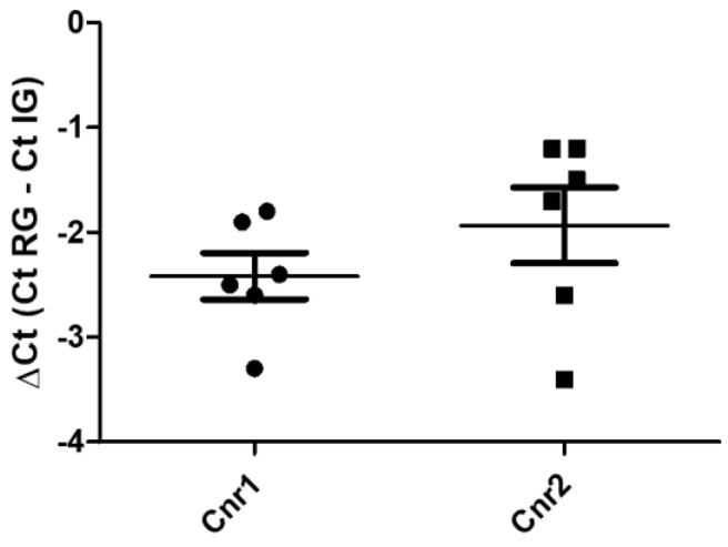 Gene expression of Cnr1 and Cnr2, in the equine fixed amygdala samples. The results are presented as ΔCt = (Ct RG − Ct IG), (ΔCt values less negative, higher expression). Symbols indicate individual animals. For each gene, mean ± standard deviation are indicated by horizontal bars. No significant statistical difference (p < 0.05) was observed between Cnr1 and Cnr2 gene expression (Student’s t-test, parametric test, p value = 0.131). RG = reference gene; IG = interest gene. Normal distributions were evaluated by means of Shapiro–Wilk tests (Cnr1 p = 0.5951; Cnr2 p = 0.1612), while the equality of variances in the two groups was assessed by means of Levene’s test (F value = 0.3058). GraphPad Prism v.8 (GraphPad Software Inc., San Diego, CA, USA).