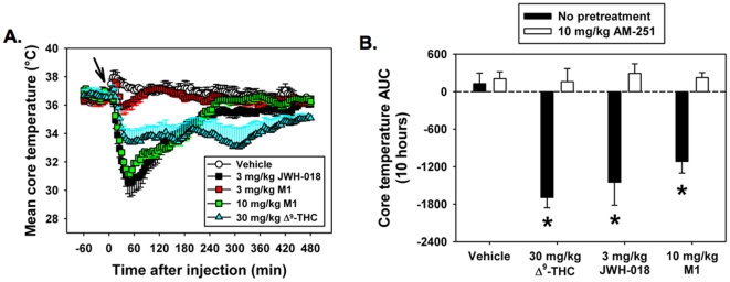 JWH-018 and M1 decreased mouse core body temperature in a CB1R-dependent manner similar to Δ9-THC. A. Mice administered 3 mg/kg JWH-018 and 10 mg/kg M1 (i.p.) exhibited greater depressions in core body temperature than 30 mg/kg Δ9-THC, but also recovered more quickly over a 10 h time course, resulting in B. equivalent area under the curve values, which were significantly lower than vehicle controls (*P<0.005 vs. vehicle controls, one-way ANOVA with Tukey HSD test, n = 5). Core body temperature was restored to vehicle control levels by coadministration of cannabinoids with the CB1R-preferring antagonist/inverse agonist AM251 (10 mg/kg).