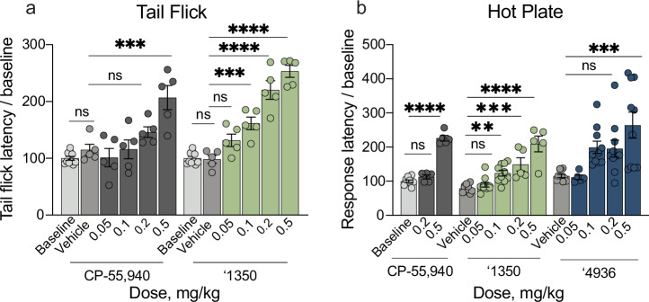 In vivo analgesic profile of the cannabinoid agonists in acute thermal assays.a Tail flick for CP-55,940 (n = 5 except baseline n = 10; one-way ANOVA, F(5, 29) = 10.9, P < 0.0001), and ‘1350 (n = 5 except baseline n = 10; one-way ANOVA, F(5, 29) = 48.1, P < 0.0001). Asterisks define individual group differences to respective vehicle control after Dunnett’s multiple comparisons post hoc test correction; ‘1350 vehicle vs. baseline: P > 0.99; vehicle vs. ‘1350, 0.05 mg/kg: P = 0.09; 0.1 mg/kg: P = 0.0005; 0.2 and 0.5 mg/kg: P < 0.0001; CP-55,940 vehicle vs. baseline: P = 0.80; vehicle vs. CP-55,940, 0.05 mg/kg: P = 0.91, 0.1 mg/kg: P > 0.99; 0.2 mg/kg: P = 0.32; 0.5 mg/kg: P = 0.0001. b Hot Plate for CP-55,940 (n = 5 except baseline n = 10; one-way ANOVA, F(2, 17) = 148.6, P < 0.0001), ‘1350 (n = 10 except 0.2 and 0.5 mg/kg n = 5; one-way ANOVA, F(4, 35) = 20.7, P < 0.0001), and ‘4936 (n = 10 except 0.05 mg/kg n = 5; one-way ANOVA, F(4, 40) = 6.5, P = 0.0004). Asterisks define individual group differences to baseline or vehicle after Dunnett’s multiple comparisons post-hoc correction; vehicle vs. ‘1350, 0.05 mg/kg: P = 0.85; 0.1 mg/kg: P = 0.006; 0.2 mg/kg: P = 0.0004; 0.5 mg/kg: P < 0.0001; baseline vs. CP-55,940, 0.2 mg.kg: P = 0.2; 0.5 mg.kg: P < 0.0001; vehicle vs. ‘4936, 0.05 mg/kg: P > 0.99, 0.1 mg/kg: P = 0.05, 0.2 mg/kg: P = 0.07; 0.5 mg/kg: P = 0.0002. Data in a & b represent mean ± SEM. For all panels, n denotes number of independent animals per group. ns = not significant, *P < 0.05, **P < 0.01, ****P < 0.001.