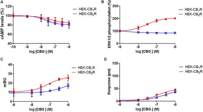 Cannabigerol action in cells expressing CB1R or CB2R. HEK-293T cells were transfected with 0.75 μg cDNA for CB1R (red line) or 1 μg cDNA for CB2R (blue line). Dose–effect curves for cAMP production are expressed as % of levels obtained by 0.5 μM forskolin treatment (A). Dose-effect curves for ERK1/2 phosphorylation are expressed as % respect to basal levels (B). Dose-effect curves for β-arrestin recruitment (C) and label-free (D) assays are expressed, respectively, in mBRET units and pm. In β-arrestin-2 recruitment assays cells were transfected with 1 μg cDNA for β-arrestin-Rluc and either 0.75 μg cDNA for CB1R-YFP or 1 μg cDNA for CB2R-YFP. Data are the mean ± SEM of a representative experiment in triplicates (n = 6).
