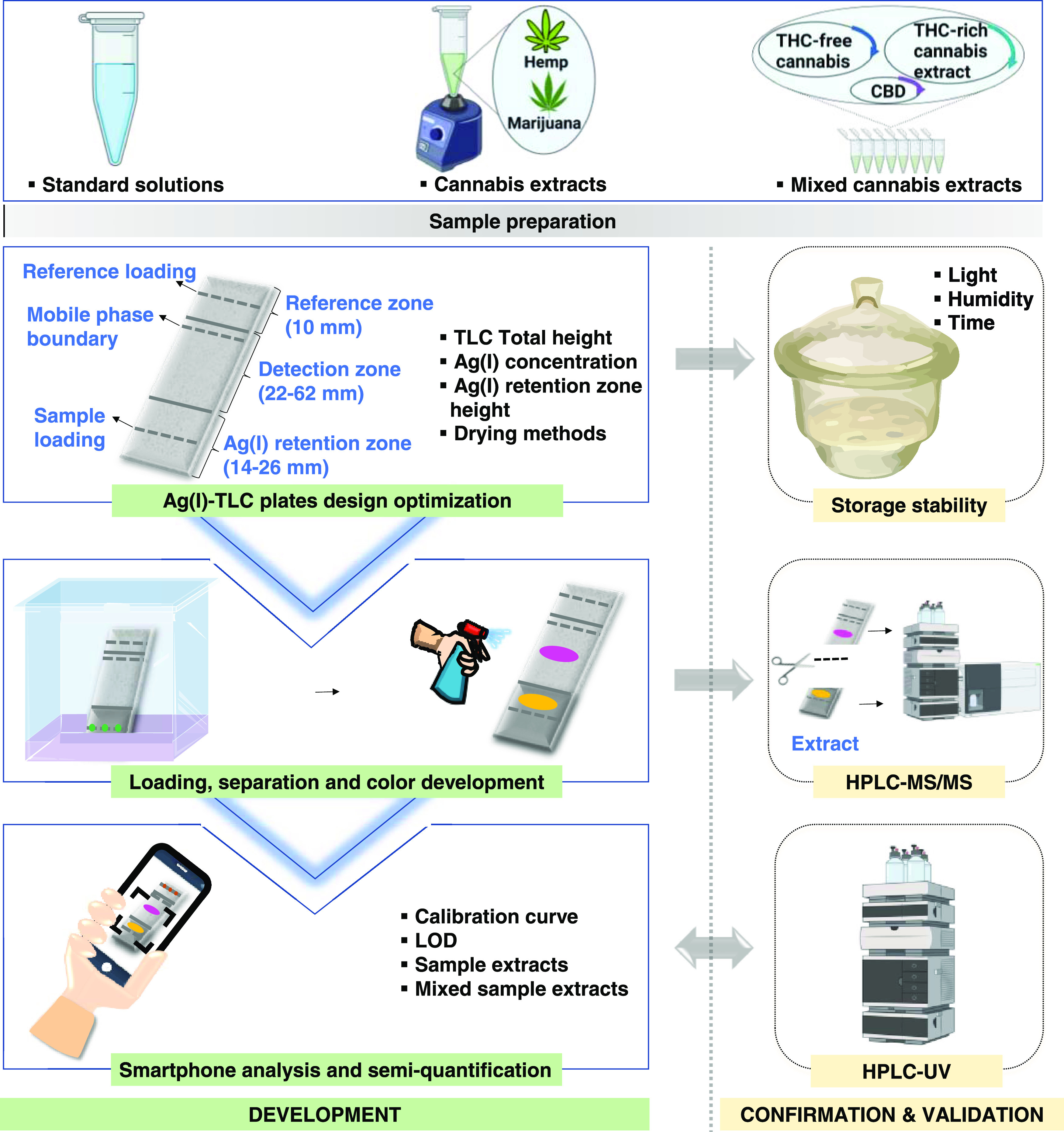 Overview of the experimental workflow (created partly with biorender.com).