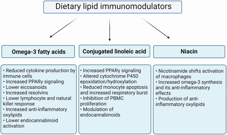 Dietary lipid immunomodulators. Supplementation of omega-3 FAs, conjugated linoleic acid (CLA), and niacin exert multiple effects on immune function and inflammation and can be used as nutritional strategies to modulate immunometabolism in transition dairy cows. Image was prepared using Biorender.com.