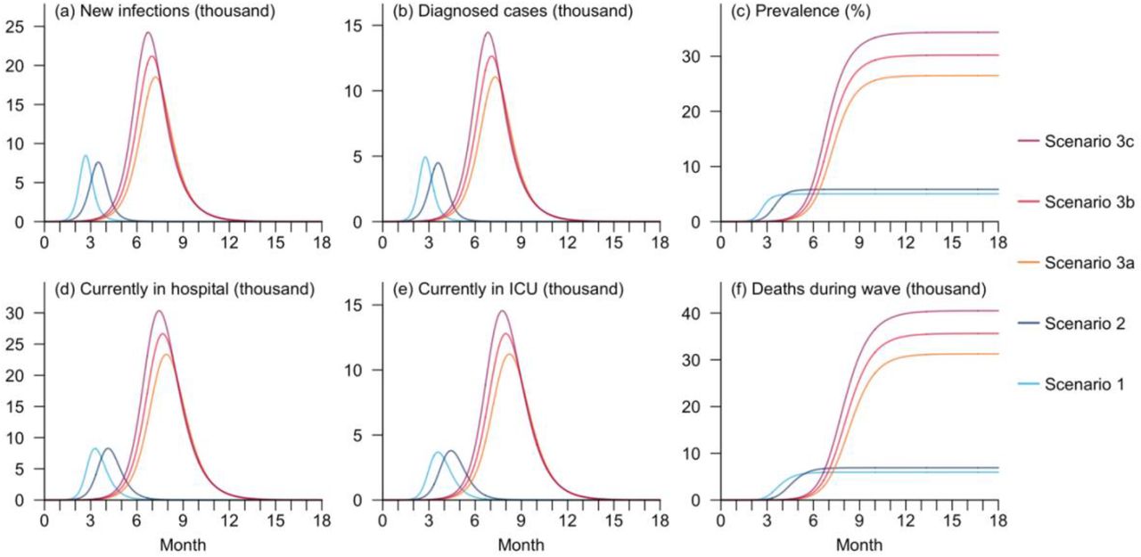 Disease burden and healthcare resource utilisation (HCRU) during mpox outbreaks in the five hypothetical scenarios.The indicators include number of new local infections (a) and diagnosed cases (b) on each day, disease prevalence in the overall local population (c), number of hospitalized cases in normal wards (d) and ICU occupancy (e), as well as cumulative number of deaths (f) over the 18 months following the initial importation event.