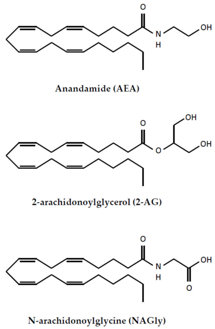 The structure of endocannabinoids.