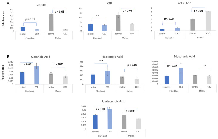 (A). Primary metabolic response to CBD treatment. BJ Fibroblast and Malme-3M cell lines were treated with 12.5 and 16 μM CBD for 72 h, which, respectively, represent the IC50 for each cell line. Metabolite measurements are represented as the average relative area under the curve of 3 independent replicates per measurement. While the fibroblast cell line showed a significant decrease in the TCA cycle metabolite citrate, there was no corresponding increase in glycolytic activity as shown by no significant difference in ATP concentrations. However, with the marked reduction in citrate levels in the Malme cell line, there was a corresponding significant decrease in ATP. Glycolytic activity was correspondingly increased in the Malme cell line in a likely attempt to maintain ATP levels. (B). Fatty acid metabolism is elevated in fibroblasts cells because of CBD treatment. Short chain fatty acids are found to be elevated in the fibroblast cell line in response to CBD treatment with significant changes seen in octanoic, mevalonic, and undecanoic acid. In contrast, there is an overall slight decrease or no change in the Malme cell line, consistent with an inhibited TCA cycle. p values represent the standard deviation of n = 3 for all samples, n.s. denotes not significant.