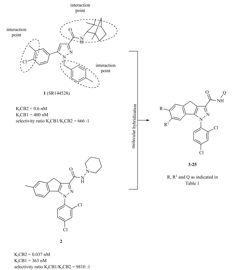 Structural design concept of compounds 3-25.