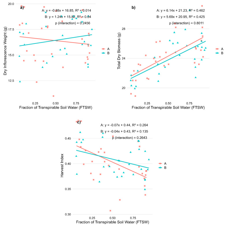Effects of water availability (FTSW) during the vegetative stage on morphological traits in two CBD-dominant Cannabis sativa L. varieties. (a) Dry inflorescence weight; (b) Total dry biomass; and (c) Harvest index. Regression lines represent the relationship between stress levels (expressed as Fraction of Transpirable Soil Water, FTSW) and each trait for each variety (A, red squares: ‘Fenomoon’; B, blue triangles: ‘Harlequin’). p-values for the interaction term (Stress × Variety) are reported in each panel.