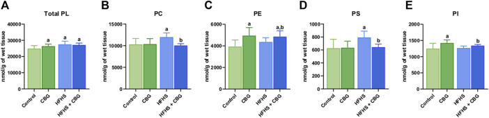 The content of total phospholipid fraction (Total PL) (A) and various phospholipid subclasses, i.e., phosphatidylcholine (PC) (B), phosphatidylethanolamine (PE) (C), phosphatidylserine (PS) (D), and phosphatidylinositol (PI) (E) in the control group (rats fed a standard chow) and high-fat-high-sucrose diet (HFHS) group after 2-week cannabigerol (CBG) administration in the red gastrocnemius muscle. Values are expressed in nmol/g of wet tissue. The data are expressed as mean values ±SD and are based on ten independent determinations in each group (n = 10); ap < 0.05 indicates a significant difference: the control group vs the examined group; bp < 0.05 indicates a significant difference: HFHS group vs. HFHS + CBG group.