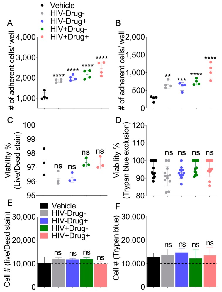Monocyte adhesion to collagen is increased by SE from HIV-infected participants with comorbid psychostimulant use: 10,000 cells were treated with vehicle PBS or 100 µg/mL (~2 × 1010 particles/mL) SE from each clinical group and cultured atop collagen coated 96 well plate for 18 h in either complete media or serum free media. Subsequently, non-adhered cells were washed three times with PBS and adhered cells were stained with NucBlue. The entire well was imaged using LionHeart FX. The total number of adhered cells was determined using Gen5 Imaging software. Quantification of adherent monocytes in complete RPMI (A) and serum-free RPMI (B). Error bars indicate standard deviation of 4 independent wells per treatment. Analysis of monocyte viability by Live/Dead Stain (C) and Trypan Blue exclusion (D). Cell proliferation as determined by counting total live cells by Live/Dead Stain (E) or Trypan Blue stain (F). Error bars indicate standard deviation of three independent wells. Ordinary one-way ANOVA test (Dunnett’s correction) was used to determine the differences induced by the different SE treatments as compare to vehicle. * p < 0.05, ** p < 0.01, *** p < 0.005, **** p < 0.001, and ns, nonsignificant.