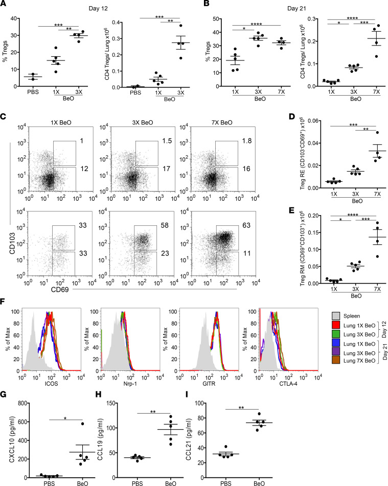 BeO exposure induces a dose-dependent increase in tissue-resident Tregs in the lung.Frequency (left panel) and number (right panel) of CD4+CD25+FoxP3+ T cells in the lungs of HLA-DP2 Tg mice sensitized with 1 (1×) or 3 (3×) doses of BeO and harvested at day 12 (A) or sensitized with 1 (1×), 3 (3×), or 7 (7×, sensitization/boost) BeO exposures and examined at day 21 (B). (C) Representative dot plots show CD103 and CD69 expression on CD4+CD25+FoxP3+ Tregs derived from the spleen (top panels) and lung (bottom panels) of mice exposed to BeO on 1 (1×), 3 (3×), or 7 (7×) occasions and examined at day 21. (D and E) Number of resident effector (RE, CD103–CD69+) and resident memory (RM, CD103+CD69+) T cells among tissue-resident Tregs in HLA-DP2 Tg mice exposed to 1, 3, and 7 doses of BeO. (F) Representative histograms show expression of ICOS, Nrp-1, GITR, and CTLA-4 on tissue-specific CD25+FoxP3+CD4+ Tregs in mice exposed to 1 (1×, red) or 3 (3×, green) doses of BeO and analyzed at day 12 or exposed to 1 (1×, blue), 3 (3×, purple), or 7 (7×, brown) doses of BeO and analyzed at day 21. (G–I) T cell homeostatic chemokines CXCL-10 (G), CCL19 (H), and CCL21 (I) were measured in the lung tissue lysates by ELISA. Data (mean ± SEM) are representative of 3 individual experiments (2–5 mice per group). Significance was determined by 1-way ANOVA (A, B, D, and E) and Mann-Whitney U test (G–I). *P < 0.05, **P < 0.01, ***P < 0.001, ****P < 0.0001.