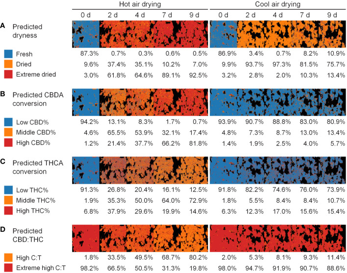 Application for quality monitoring of cannabis flowers in drying method and period: dryness (A), CBDA conversion (B), THCA conversion (C), and CBD THC (D). Colors represents the predicted class. Percentage values indicate the proportion of the class occupied by plant pixels.