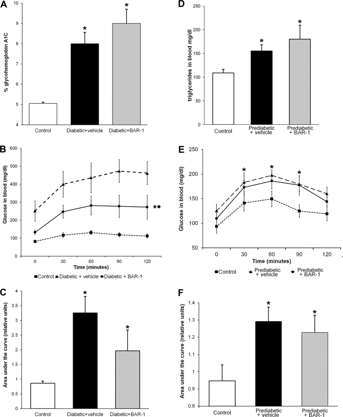 BAR-1 effects on glycated HbA1C, oral glucose tolerance test and triglyceride.Effects of BAR-1 treatment (10 mg/kg oral) in glycated HbA1C (a) and OGTT (b) of diabetic mice after 3 weeks and triglyceride blood levels (d) and OGTT (e) of mice fed with high caloric diet (prediabetic) after 8 weeks. Area under the curve was analysed for each group (c, f). Data are presented as means + SEM, n = 8 mice per group. *p < 0.05 vs. control, black dot vs. vehicle treated.