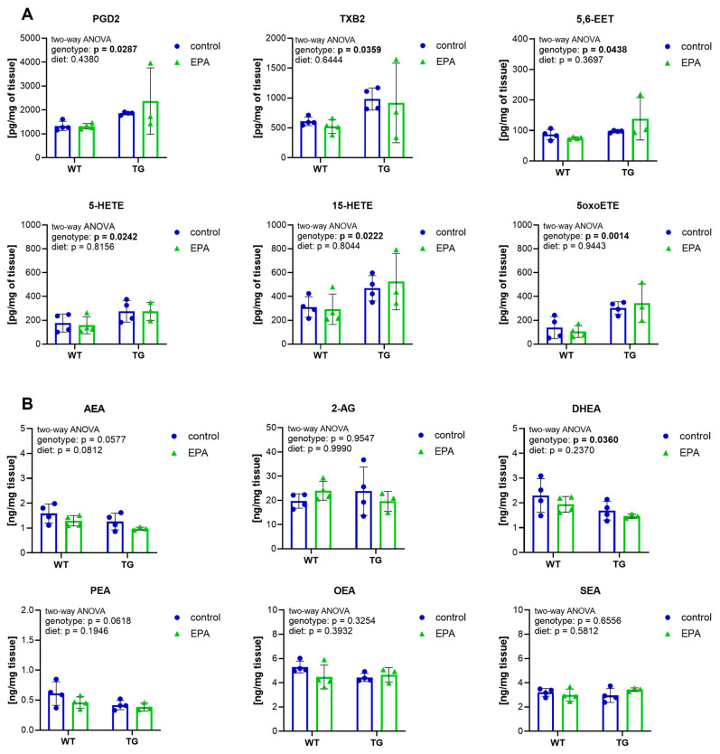 Hippocampal lipid mediators. Quantification of hippocampal (A) eicosanoids and (B) endocannabinoids and endocannabinoid-like amides. In the TG+EPA group, one of the samples was unfortunately lost during sample preparation for LC-MS/MS analysis; therefore only 3 data points are available. A two-way ANOVA for the main diet and genotype effects was performed. A 95% confidence interval was used, and p-values less than 0.05 were considered significant. The graphs are presented as the mean ± standard deviation, with all data points shown.